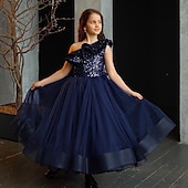 preiswerte Partykleider-Partykleid für Kinder, Mädchen, einfarbig, ärmellos, Leistung, Mesh, Prinzessin, süßes Mesh-Etuikleid in der Mitte der Wade, Tüllkleid, Sommer, Frühling, Herbst, 2–12 Jahre, Blau