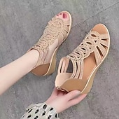 voordelige Sleehaksandalen-Dames Sandalen Sandalen met sleehak Romeinse schoenen Glitter Sandalen Buiten Dagelijks Strand Effen Kleur Zomer Sleehak Open teen Elegant Klassiek Casual Imitatieleer Rits Zwart Lichtbruin