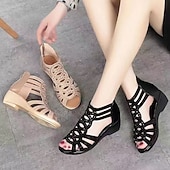 voordelige Sleehaksandalen-Dames Sandalen Sandalen met sleehak Romeinse schoenen Glitter Sandalen Buiten Dagelijks Strand Effen Kleur Zomer Sleehak Open teen Elegant Klassiek Casual Imitatieleer Rits Zwart Lichtbruin