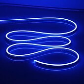 abordables Lampes néon led-Guirlande lumineuse LED en néon 5 m 16,4 pi, 12 V, flexible, étanche IP65, en silicone, idéale pour la chambre, la cuisine, la décoration intérieure/extérieure (adaptateur secteur non inclus)