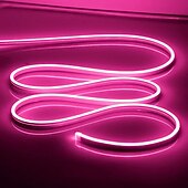 abordables Lampes néon led-Guirlande lumineuse LED en néon 5 m 16,4 pi, 12 V, flexible, étanche IP65, en silicone, idéale pour la chambre, la cuisine, la décoration intérieure/extérieure (adaptateur secteur non inclus)