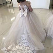 cheap Flower Girl&#039;s Dresses-Flower Girl Dress Girls&#039; First Communion Dress Party Dress Performance Wedding Party Princess Sweet Mesh Solid Color Sleeveless Crew Neck White Champagne 2-12 Years
