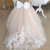 cheap Flower Girl&#039;s Dresses-Kids Girls&#039; Flower Girl Dress Party Dress Solid Color Long Sleeve Performance Wedding Party Mesh Princess Sweet Mesh Mid-Calf Sheath Dress Tulle Dress Summer Spring Fall 2-12 Years 4-12 Years White