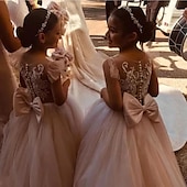 cheap Flower Girl&#039;s Dresses-Flower Girl Dress Girls&#039; First Communion Dress Party Dress Performance Wedding Party Princess Sweet Mesh Solid Color Sleeveless Crew Neck White Champagne 2-12 Years