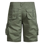 cheap Outdoor-Men's Cargo Shorts Shorts Bermuda shorts Pocket Plain Comfort Breathable Outdoor Daily Going out Casual Big and Tall Dark Brown Black