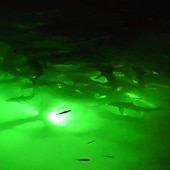 preiswerte Unterwasserlampen-Unterwasser-Angellicht Tauch-Fischsucherlampe cob led innovatives kompaktes Design mit 5m Kabel 1St