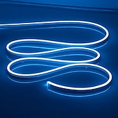 abordables Lampes néon led-Guirlande lumineuse LED en néon 5 m 16,4 pi, 12 V, flexible, étanche IP65, en silicone, idéale pour la chambre, la cuisine, la décoration intérieure/extérieure (adaptateur secteur non inclus)