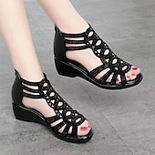 voordelige Sleehaksandalen-Dames Sandalen Sandalen met sleehak Romeinse schoenen Glitter Sandalen Buiten Dagelijks Strand Effen Kleur Zomer Sleehak Open teen Elegant Klassiek Casual Imitatieleer Rits Zwart Lichtbruin