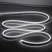 abordables Lampes néon led-Guirlande lumineuse LED en néon 5 m 16,4 pi, 12 V, flexible, étanche IP65, en silicone, idéale pour la chambre, la cuisine, la décoration intérieure/extérieure (adaptateur secteur non inclus)
