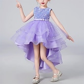 abordables Robes à Fleurs pour Filles-Robe de Demoiselle d&#039;Honneur Fille Fille Robe Robe de fête Utilisation Mariage Soirée Elégant Princesse Paillettes Maille Paillette Sans Manches Col Ras du Cou Blanche Rouge 3-13 ans