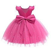 cheap Flower Girl&#039;s Dresses-Flower Girl Dress Girls&#039; Princess Dress First Communion Dress Party Dress Formal Performance Wedding Princess Beautiful Ruched Mesh Solid Color Sleeveless V Neck White Pink 2-9 Years