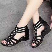 voordelige Sleehaksandalen-Dames Sandalen Sandalen met sleehak Romeinse schoenen Glitter Sandalen Buiten Dagelijks Strand Effen Kleur Zomer Sleehak Open teen Elegant Klassiek Casual Imitatieleer Rits Zwart Lichtbruin