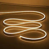 abordables Lampes néon led-Guirlande lumineuse LED en néon 5 m 16,4 pi, 12 V, flexible, étanche IP65, en silicone, idéale pour la chambre, la cuisine, la décoration intérieure/extérieure (adaptateur secteur non inclus)