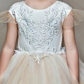 cheap Flower Girl&#039;s Dresses-Flower Girl Dress Girls&#039; First Communion Dress Party Dress Performance Wedding Party Princess Sweet Mesh Solid Color Sleeveless Crew Neck White Champagne 2-12 Years