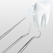 economico Sbiancante per denti-stuzzicadenti in acciaio inossidabile set tascabile filo interdentale portatile stuzzicadenti riutilizzabili in metallo kit per la pulizia dei denti con portachiavi per picnic all&#039;aperto campeggio in