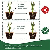 cheap Watering &amp; Irrigation-6pcs Plant Watering Globes Self Watering Bulbs PVC Automatic Watering Balls Plant Watering System Clear Plant Waterer For Indoor And Outdoor 5.1inch.zip