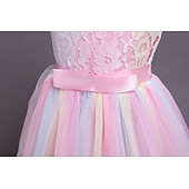 preiswerte Kleider für die Blumenmädchen-kinderkleidung Mädchen Blumenmädchen Kleid Kleid Ärmellos Hochzeit Party Spitze Gitter Kuschelig Polyester Maxi Blumenmädchenkleid Buntes Lila Farbpulver Weiß