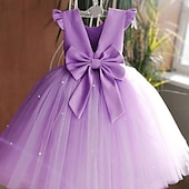 cheap Flower Girl&#039;s Dresses-Flower Girl Dress Girls&#039; Princess Dress First Communion Dress Party Dress Formal Performance Wedding Princess Beautiful Ruched Mesh Solid Color Sleeveless V Neck White Pink 2-9 Years