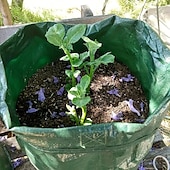 economico sacchi per piante-4 sacchetti per la coltivazione di patate 10 galloni sacchetti per la coltivazione con patta e manici vaso per piante vaso per patate pomodoro e verdure verde