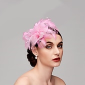 economico Fascinator-Fascinatori  Cappelli  Fasce per capelli in tulle  piume  rete con 1 pezzo Matrimonio  Occasione speciale  Copricapo per tea party per un&#039;ottima impressione Fascinatori del Derby Giornata di corsa