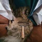 abordables Toilettage pour chiens-chien&amp;amp; brosse d&#039;épilation pour chat : dites adieu aux poils d&#039;animaux avec 1 dissolvant