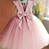 cheap Flower Girl&#039;s Dresses-Flower Girl Dress Girls&#039; Princess Dress First Communion Dress Party Dress Formal Performance Wedding Princess Beautiful Ruched Mesh Solid Color Sleeveless V Neck White Pink 2-9 Years