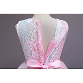 preiswerte Kleider für die Blumenmädchen-kinderkleidung Mädchen Blumenmädchen Kleid Kleid Ärmellos Hochzeit Party Spitze Gitter Kuschelig Polyester Maxi Blumenmädchenkleid Buntes Lila Farbpulver Weiß
