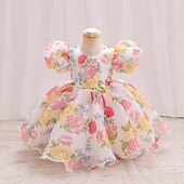 abordables Robes de fête-Tout-petit Fille Robe de Soirée Graphique Manche Courte Mariage Mignon Polyester Mi-long Été 3-7 Ans Multicouleur Rouge Vert