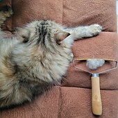 abordables Toilettage pour chiens-chien&amp;amp; brosse d&#039;épilation pour chat : dites adieu aux poils d&#039;animaux avec 1 dissolvant