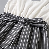 baratos Vestidos Casuais-Mamãe e eu Macacão Listra Ao ar livre Frente Única Cinzento Sem Manga Mini Férias Roupas Combinando
