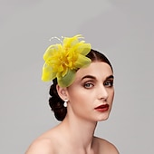 economico Fascinator-Fascinatori  Cappelli  Fasce per capelli in tulle  piume  rete con 1 pezzo Matrimonio  Occasione speciale  Copricapo per tea party per un&#039;ottima impressione Fascinatori del Derby Giornata di corsa