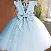 cheap Flower Girl&#039;s Dresses-Flower Girl Dress Girls&#039; Princess Dress First Communion Dress Party Dress Formal Performance Wedding Princess Beautiful Ruched Mesh Solid Color Sleeveless V Neck White Pink 2-9 Years