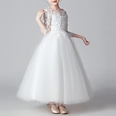 preiswerte Kleider für die Blumenmädchen-kinderkleidung Mädchen Blumenmädchen Kleid Kleid Party Kleid Feste Farbe 3/4 Ärmel Leistung Hochzeit Party Spitze Gitter Modisch bezaubernd Prinzessin Polyester Maxi Spitzenkleid abendkleider
