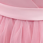 preiswerte Blumenmädchenkleider-kinderkleidung Mädchen Blumenmädchen Kleid Kleid Party Kleid Feste Farbe Ärmellos Formal Leistung Hochzeit Gitter Rückenfrei Elegant Modisch bezaubernd Polyester Maxi abendkleider Schaukelkleid