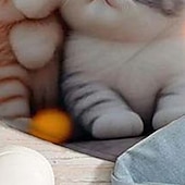 olcso Lányok 3D Állatai-Lány 3D Grafika Rajzfilm Cica Póló Rövid ujjú 3D nyomtatás Nyár Tavasz Aktív Divat aranyos stílus Gyerekek 3-12 év Szabadtéri Hétköznapi Napi Normál