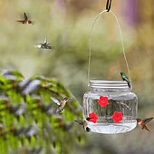 economico birdwatching e fauna selvatica nel cortile-1pc, mangiatoia per colibrì, con porte per l&#039;alimentazione dei fiori, decorazione da giardino pensile per esterni, design trasparente del serbatoio della lampadina, mangiatoie per colibrì portatili,