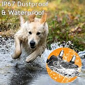preiswerte Hundetraining-3300 Fuß langes Trainingshalsband für Hunde mit Fernbedienung, 9-Ton-Option, wiederaufladbares, wasserdichtes IPX7-Schwimmschock-Trainingshalsband