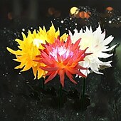 economico Illuminazione vialetto-Luci Solari Da Giardino Per Esterni . Luci Solari Da Giardino Con Fiori Di Crisantemo Impermeabile Luci A LED Ad Energia Solare Da Giardino