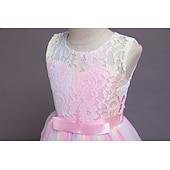 preiswerte Kleider für die Blumenmädchen-kinderkleidung Mädchen Blumenmädchen Kleid Kleid Ärmellos Hochzeit Party Spitze Gitter Kuschelig Polyester Maxi Blumenmädchenkleid Buntes Lila Farbpulver Weiß