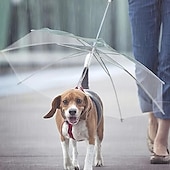 baratos Chapéus de Chuva-suprimentos para animais de estimação guarda-chuva de pelúcia cachorro pequeno guarda-chuva com coleira coleira de cachorro