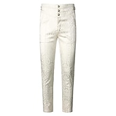 billiga Botten-Prins Vampyr Retro / vintage Punk och gotiskt Medeltida kostymer Renässans Steampunk Byxa Långbyxor Hög midja Herr Jacquard Kostym Årgång Cosplay Lång längd Byxor Halloween