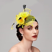 お買い得  ファシネーター-フェザー / ネットファシネーター ケンタッキーダービーハット / 鳥かごベール 1 枚付き 結婚式 / パーティー / イブニング / レディースデー ヘッドピース