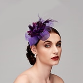 economico Fascinator-Fascinatori  Cappelli  Fasce per capelli in tulle  piume  rete con 1 pezzo Matrimonio  Occasione speciale  Copricapo per tea party per un&#039;ottima impressione Fascinatori del Derby Giornata di corsa