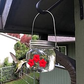 economico birdwatching e fauna selvatica nel cortile-1pc, mangiatoia per colibrì, con porte per l&#039;alimentazione dei fiori, decorazione da giardino pensile per esterni, design trasparente del serbatoio della lampadina, mangiatoie per colibrì portatili,