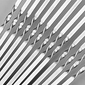 זול גריל ובישול בחוץ-50 יחידות שיפוד ברביקיו מנירוסטה לשימוש חוזר שיפודי מנגל קבב מקל ברזל לקמפינג בחוץ כלי פיקניק כלי בישול כלי בישול מנגל אביזרי גריל גאדג&#039;טים