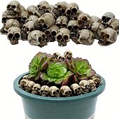preiswerte Halloween Hängende &amp; Tischdekorationen-20 Stück Mini-Totenköpfe, Halloween, kleiner Skelettkopf, Blumentopf-Dekor, realistischer Totenkopf, Kunsthandwerk, Gartendekoration, Bonsai, Hofornamente