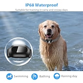 abordables Dressage pour chiens-clickers de dressage de chien kits sans fil taille réglable dresseur étanche pour chien nylon de sécurité abs + pc clickers aides au comportement entraînement à l&#039;obéissance pour animaux de compagnie