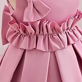 levne Párty šaty-Batole Dívčí Šaty na párty Pevná barva Bez rukávů Výkon Svatební Kravatový uzel Roztomilý Princeznovské Polyester Midi Šaty na párty Léto Jaro 3-7 let Světlá růžová Rubínově červená Trávová zelená