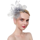 preiswerte Faszinator-Fascinators Kentucky Derby Hut Kopfbedeckung Organza Fedora Hut Urlaub Cocktail Retro elegant mit Feder Minispot Kopfbedeckung Kopfbedeckung