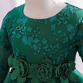 cheap Party Dresses-Kids Girls&#039; Dress Party Dress Flower Long Sleeve Special Occasion Birthday Mesh Embroidered Princess Sweet Polyester Midi Party Dress Summer Spring 4-12 Years Pink Wine Green
